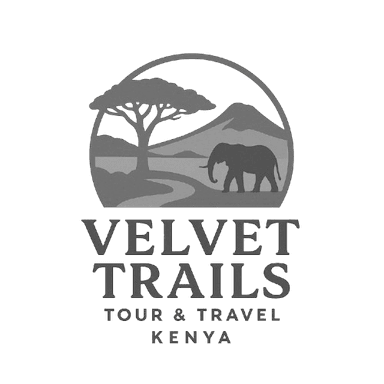 Velvet Trails logo